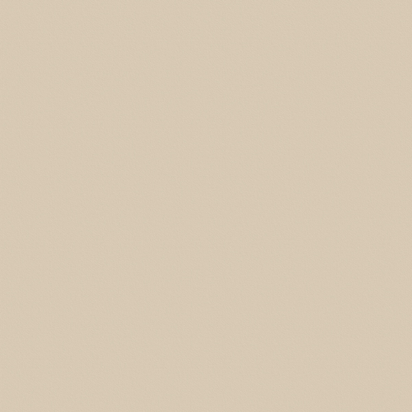 E100 18